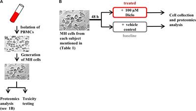 Proteomics Analysis of Monocyte-Derived Hepatocyte-Like Cells Identifies Integrin Beta 3 as a Specific Biomarker for Drug-Induced Liver Injury by Diclofenac